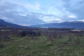 94,4 сотки на Дегуакской поляне 