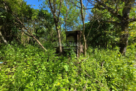 50сот в станице Новосвободной 